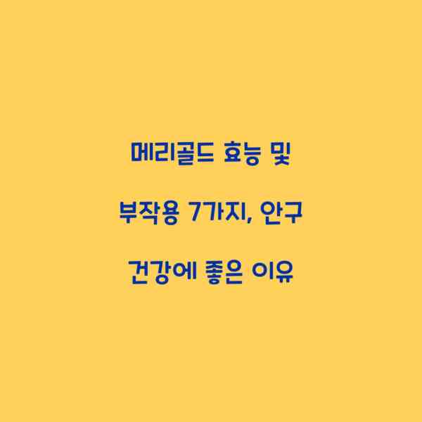 메리골드 효능 및 부작용 7가지, 안구 건강에 좋은 이유