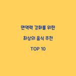 면역력 강화를 위한 최상의 음식 추천 TOP 10