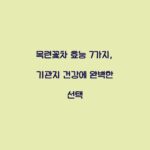 목련꽃차 효능 7가지, 기관지 건강에 완벽한 선택