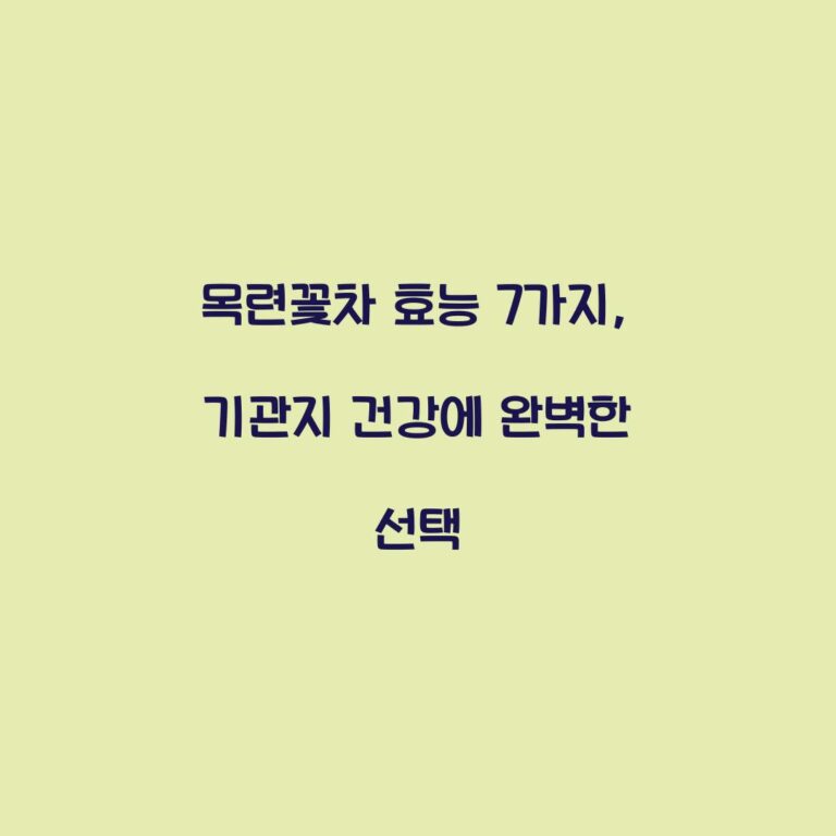 목련꽃차 효능 7가지, 기관지 건강에 완벽한 선택