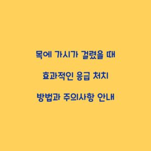 목에 가시가 걸렸을 때 효과적인 응급 처치 방법과 주의사항 안내