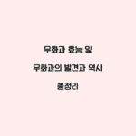 무화과 효능 및 무화과의 발견과 역사 총정리