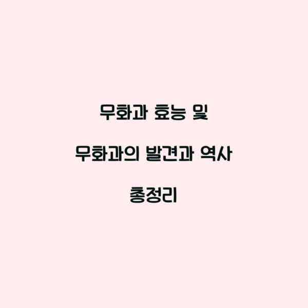 무화과 효능 및 무화과의 발견과 역사 총정리