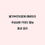 발기부전치료제 레비트라 주요성분 PDE5 효능 효과 정리