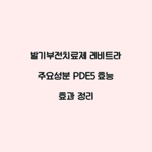 발기부전치료제 레비트라 주요성분 PDE5 효능 효과 정리