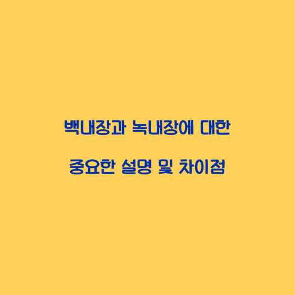 백내장과 녹내장에 대한 중요한 설명 및 차이점