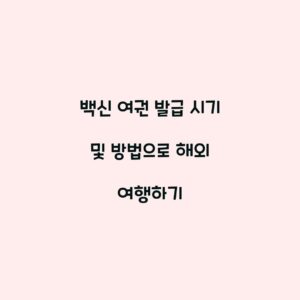 백신 여권 발급 시기 및 방법으로 해외 여행하기