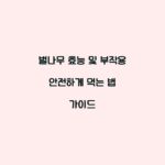 벌나무 효능 및 부작용 안전하게 먹는 법 가이드