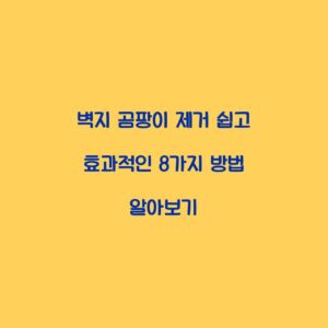 벽지 곰팡이 제거 쉽고 효과적인 8가지 방법 알아보기