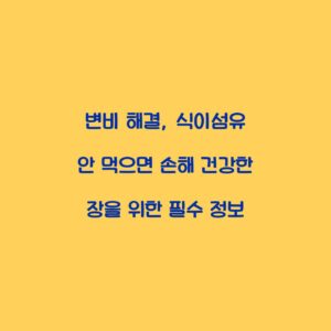 변비 해결, 식이섬유 안 먹으면 손해 건강한 장을 위한 필수 정보