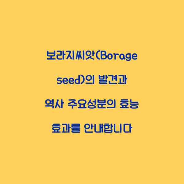 보라지씨앗(Borage seed)의 발견과 역사 주요성분의 효능 효과를 안내합니다
