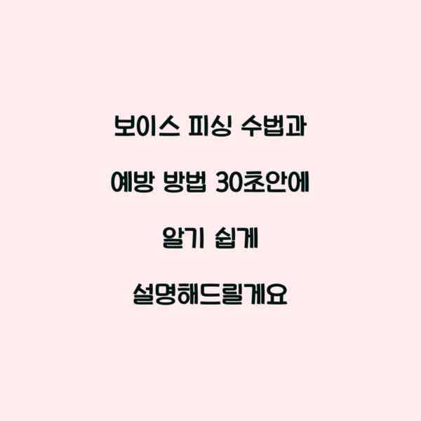 보이스 피싱 수법과 예방 방법 30초안에 알기 쉽게 설명해드릴게요