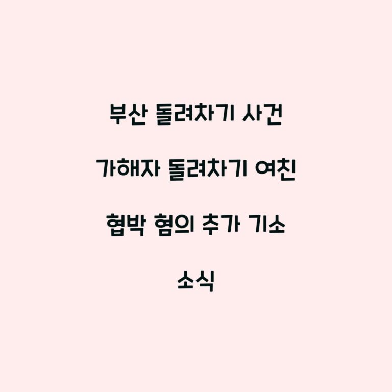 부산 돌려차기 사건 가해자 돌려차기 여친 협박 혐의 추가 기소 소식
