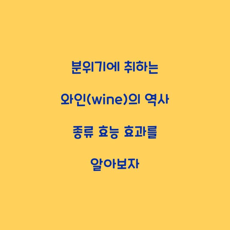 분위기에 취하는 와인(wine)의 역사 종류 효능 효과를 알아보자