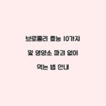 브로콜리 효능 10가지 및 영양소 파괴 없이 먹는 법 안내