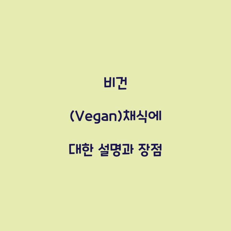 비건 (Vegan)채식에 대한 설명과 장점