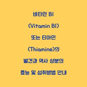 비타민 B1 (Vitamin B1) 또는 티아민 (Thiamine)의 발견과 역사 성분의 효능 및 섭취방법 안내