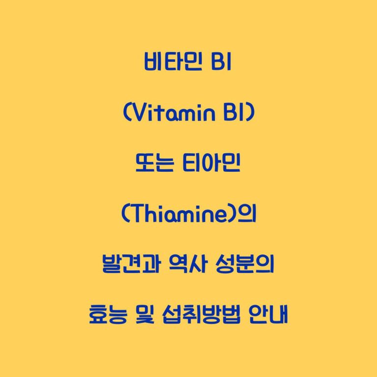 비타민 B1 (Vitamin B1) 또는 티아민 (Thiamine)의 발견과 역사 성분의 효능 및 섭취방법 안내