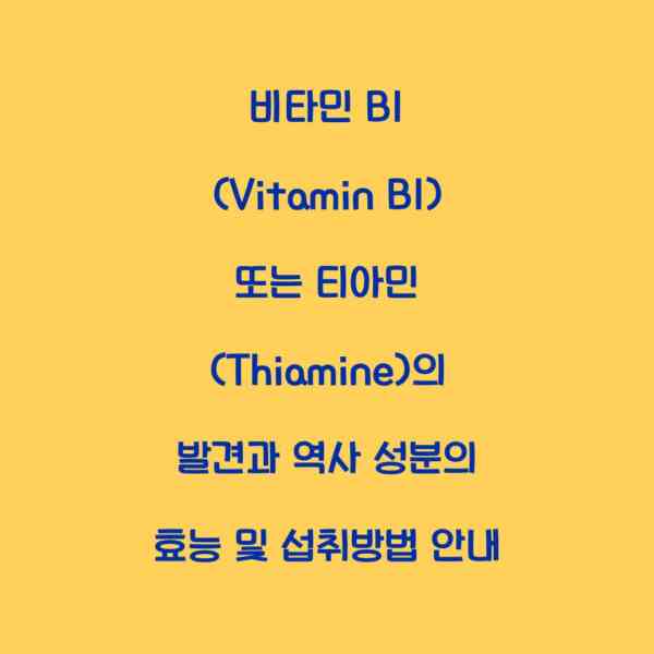 비타민 B1 (Vitamin B1) 또는 티아민 (Thiamine)의 발견과 역사 성분의 효능 및 섭취방법 안내