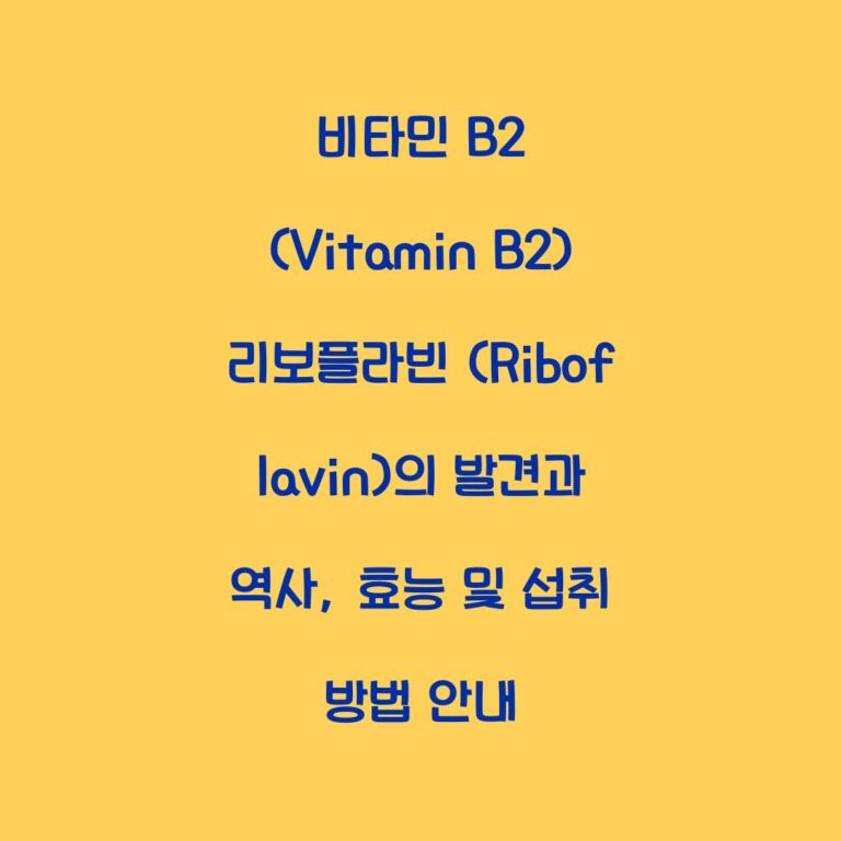 비타민 B2 (Vitamin B2) 리보플라빈 (Riboflavin)의 발견과 역사, 효능 및 섭취 방법 안내