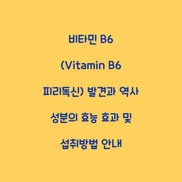 비타민 B6 (Vitamin B6 피리독신) 발견과 역사 성분의 효능 효과 및 섭취방법 안내