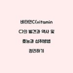 비타민C(vitamin C)의 발견과 역사 및 효능과 섭취방법 정리하기