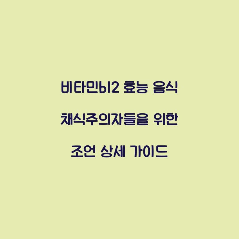 비타민b12 효능 음식 채식주의자들을 위한 조언 상세 가이드