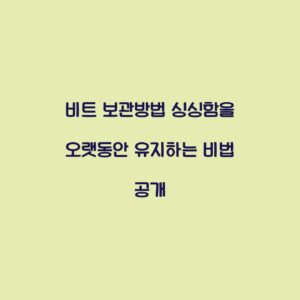 비트 보관방법 싱싱함을 오랫동안 유지하는 비법 공개