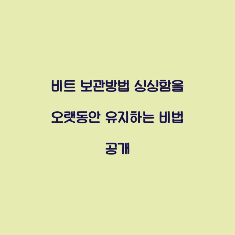 비트 보관방법 싱싱함을 오랫동안 유지하는 비법 공개