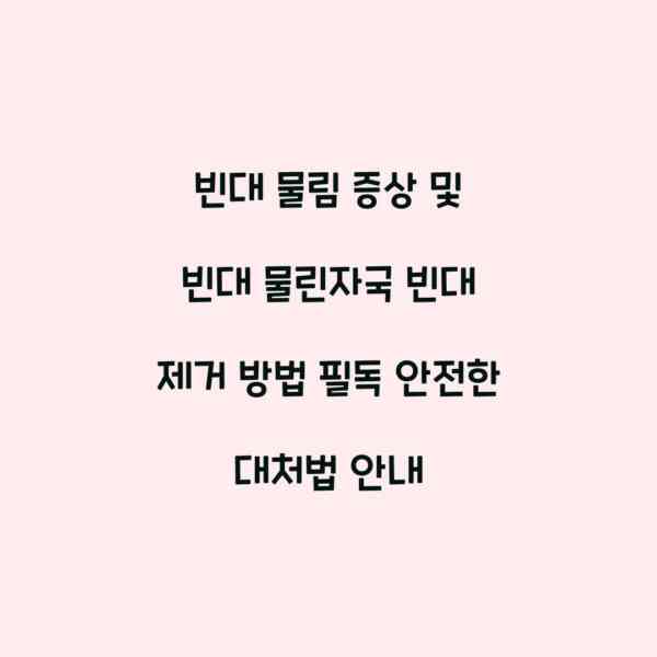 빈대 물림 증상 및 빈대 물린자국 빈대 제거 방법 필독 안전한 대처법 안내