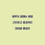 뾰루지 없애는 방법 간단하고 효과적인 대처법 총정리