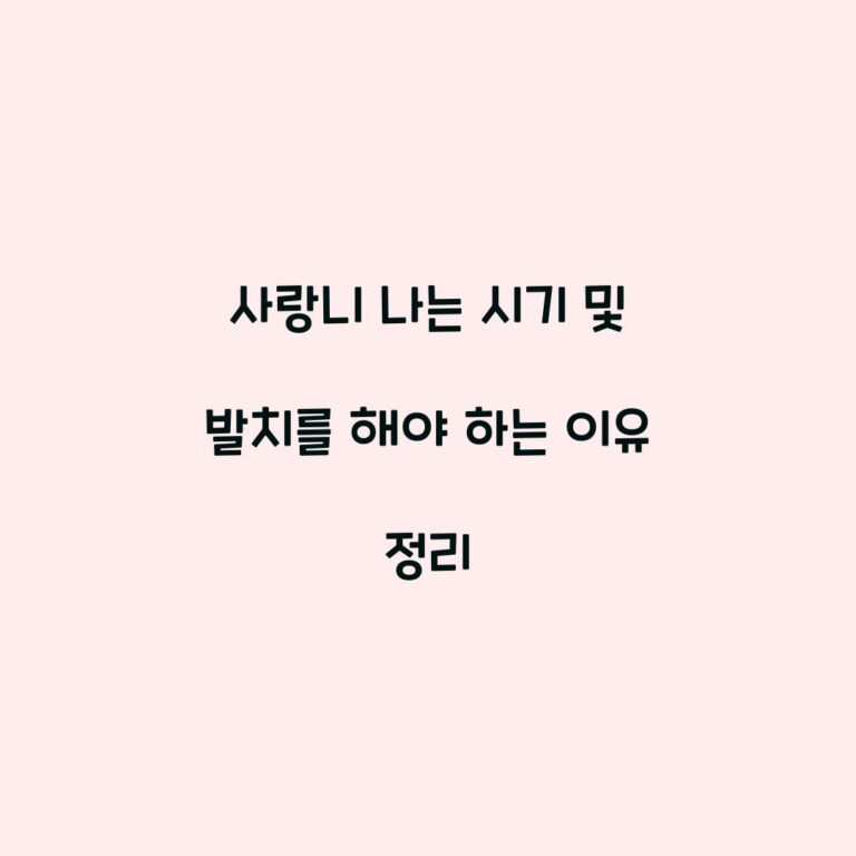 사랑니 나는 시기 및 발치를 해야 하는 이유 정리