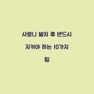 사랑니 발치 후 반드시 지켜야 하는 10가지 팁