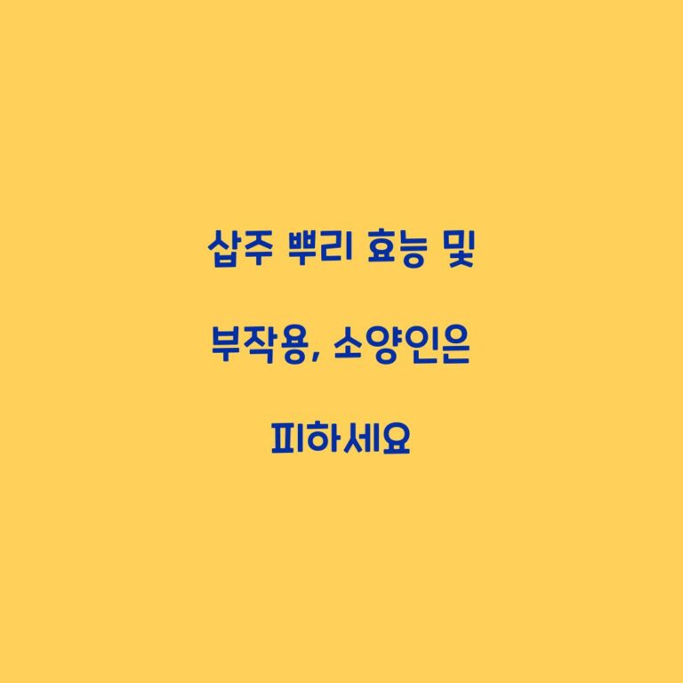 삽주 뿌리 효능 및 부작용, 소양인은 피하세요