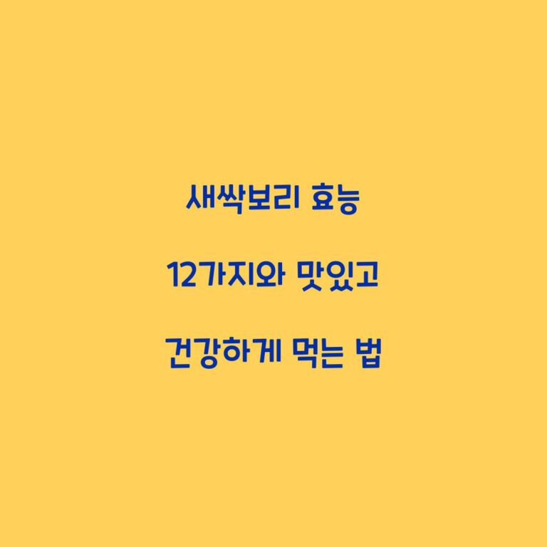 새싹보리 효능 12가지와 맛있고 건강하게 먹는 법