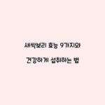 새싹보리 효능 9가지와 건강하게 섭취하는 법