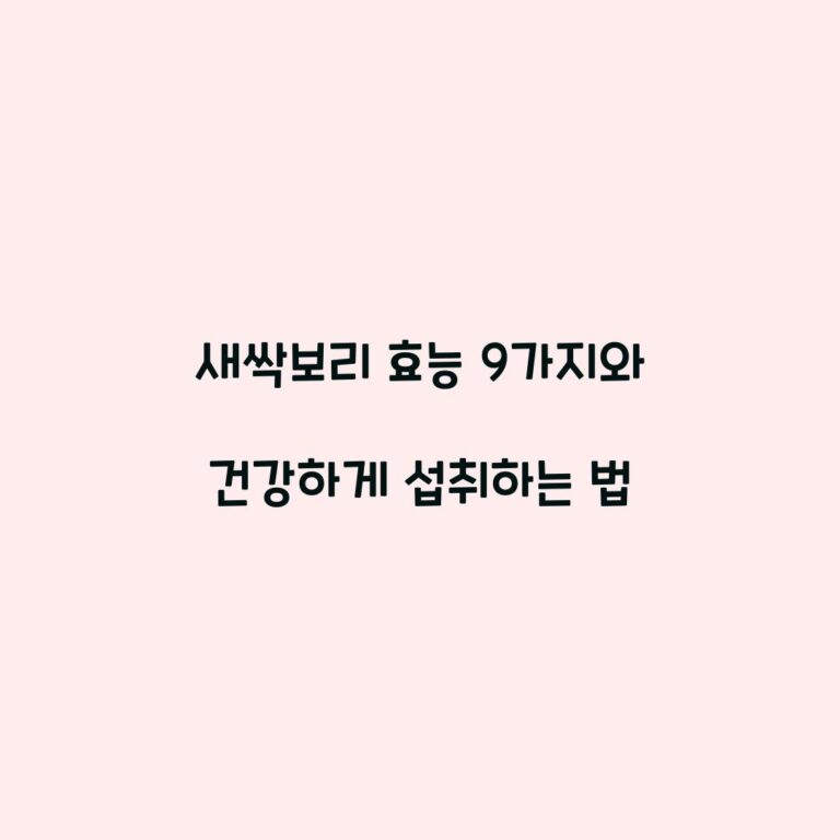 새싹보리 효능 9가지와 건강하게 섭취하는 법