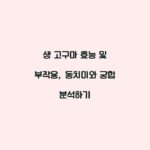 생 고구마 효능 및 부작용, 동치미와 궁합 분석하기