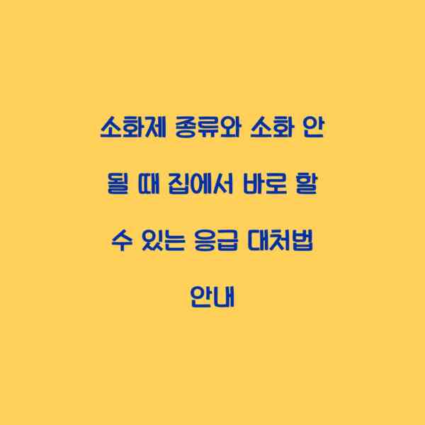 소화제 종류와 소화 안 될 때 집에서 바로 할 수 있는 응급 대처법 안내