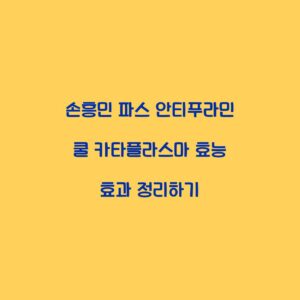 손흥민 파스 안티푸라민 쿨 카타플라스마 효능 효과 정리하기