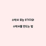 수박씨 효능 8가지와 수박씨물 만드는 법