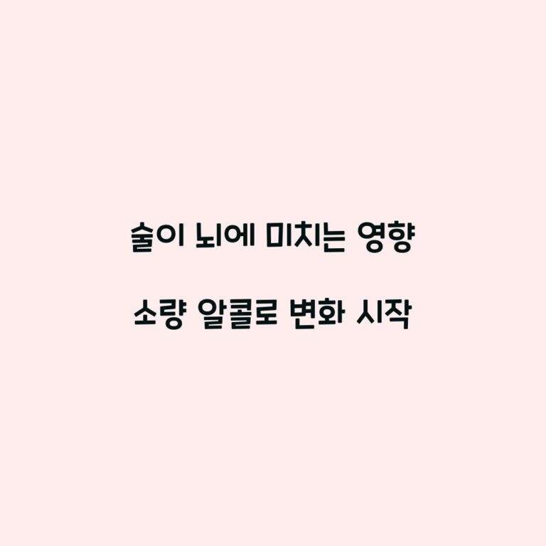 술이 뇌에 미치는 영향 소량 알콜로 변화 시작
