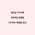 승마살 다이어트 효과적인 운동법 4가지와 예방법 안내