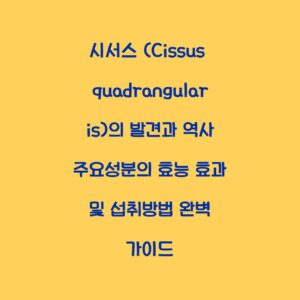 시서스 (Cissus quadrangularis)의 발견과 역사 주요성분의 효능 효과 및 섭취방법 완벽 가이드