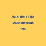 시서스 효능 7가지와 부작용 예방 복용법 안내