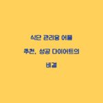 식단 관리용 어플 추천, 성공 다이어트의 비결