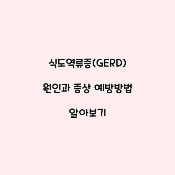 식도역류증(GERD) 원인과 증상 예방방법 알아보기