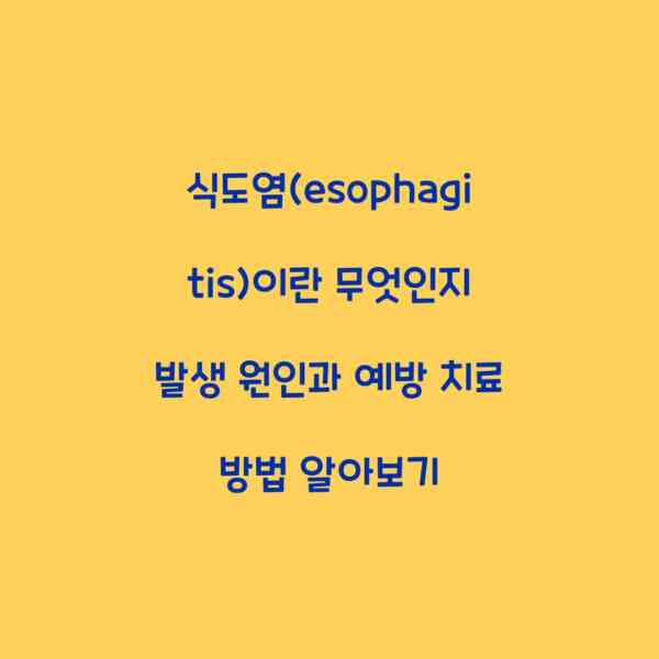 식도염(esophagitis)이란 무엇인지 발생 원인과 예방 치료 방법 알아보기