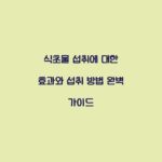 식초물 섭취에 대한 효과와 섭취 방법 완벽 가이드