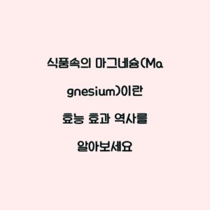 식품속의 마그네슘(Magnesium)이란 효능 효과 역사를 알아보세요